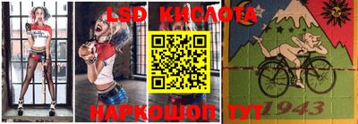 крисы Гагарин