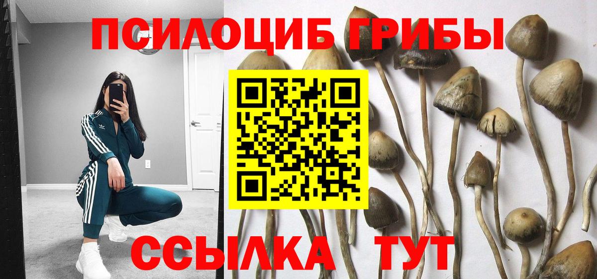 Галлюциногенные грибы Psilocybe  Галлюциногенные грибы Cubensis  Вход с VPN  Дубна 