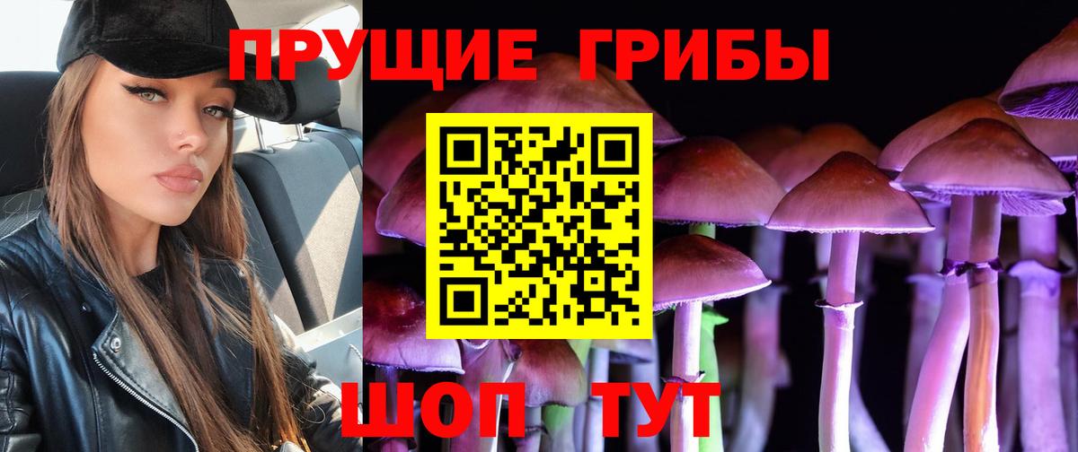 Галлюциногенные грибы Magic Shrooms Дубна
